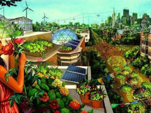 Gospodarstwo ▪ Rolnictwo ▪ Agrokultura ▪ Farmy